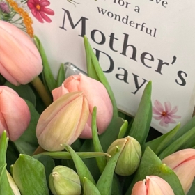 Mother's Day Tulips